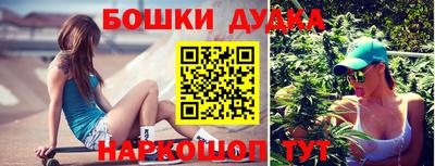 гидра Аргун