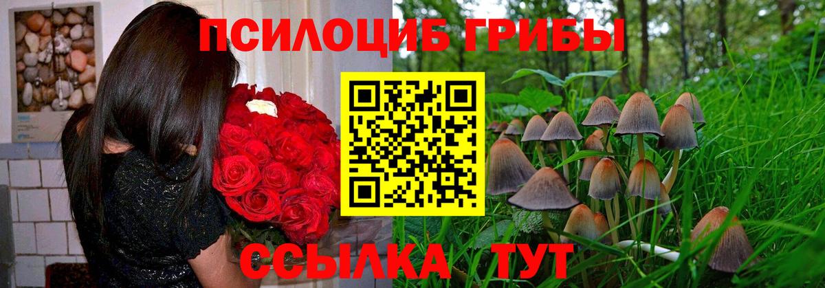 Галлюциногенные грибы мухоморы Боровичи
